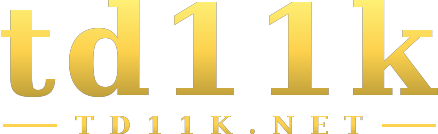 td11k logo